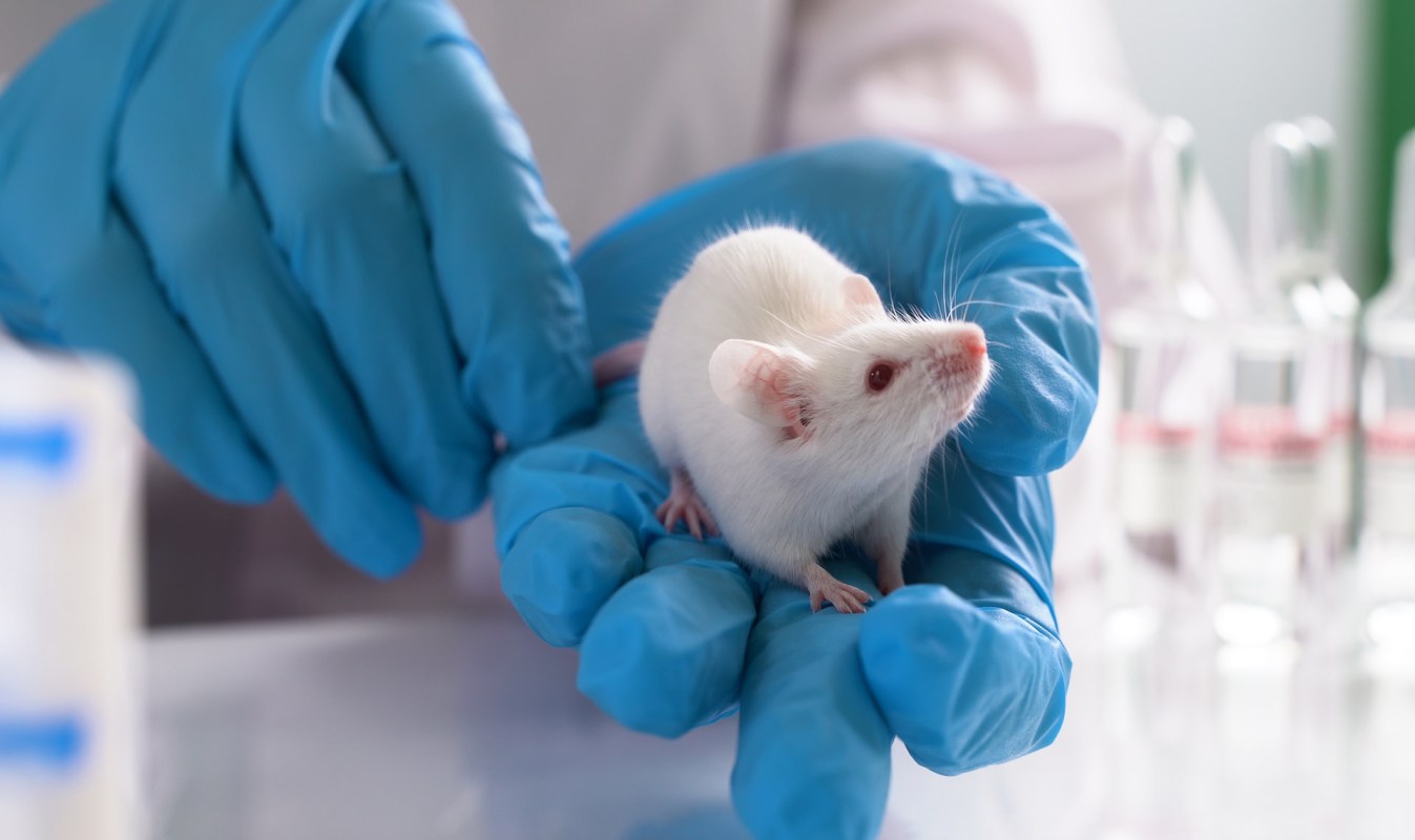 A new study points to some pretty serious consequences.